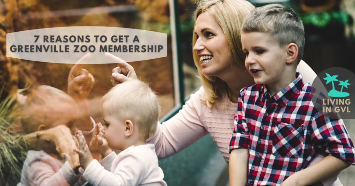 7 reasons to get a greenville zoo membership