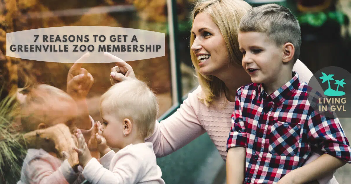 7 reasons to get a greenville zoo membership